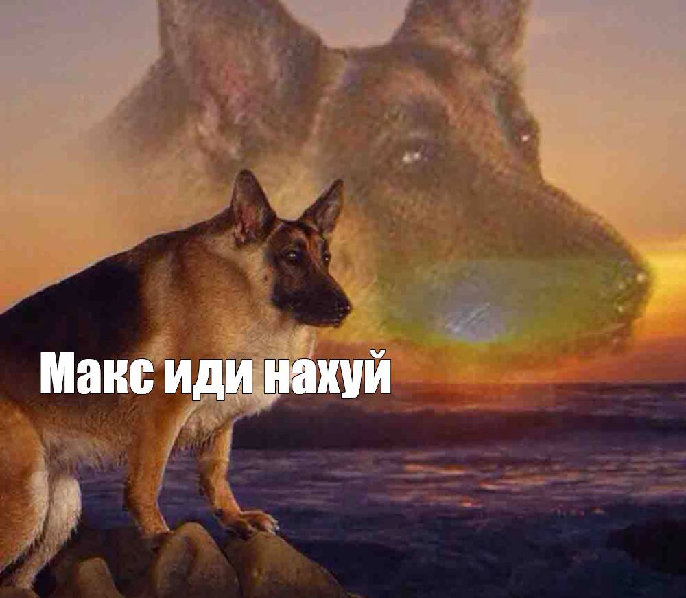 Описание картинки